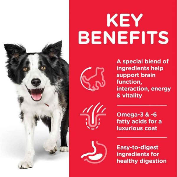 Hill's Science Plan Adult 7+ Senior Vitality Medium Breed Dog Food Chicken - Image 6