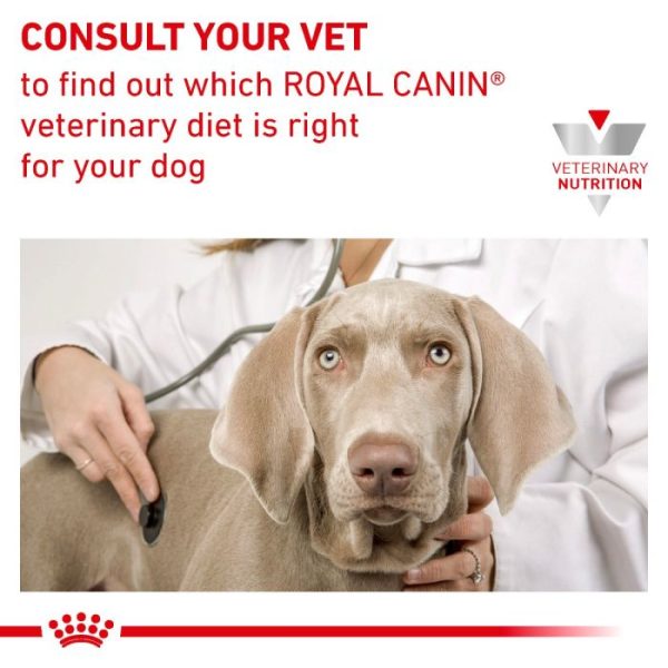 Royal Canin Urinary S/O Dog Food (Thin Slices in Gravy) 48x100g Pouch - Image 2