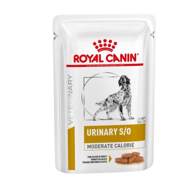 Royal Canin Urinary S/O Moderate Calorie Wet Dog Food in Gravy 48x100g