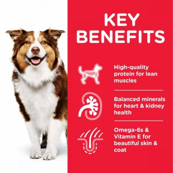 Hill's Science Plan Mature Adult 7+ Medium Breed Dry Dog Food Lamb & Rice - Image 4