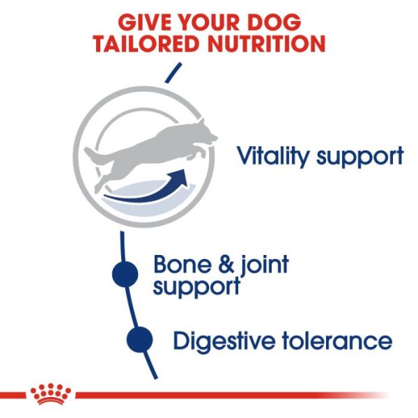 Royal Canin Maxi Adult 5+ Years Dry Dog Food 15kg - Image 4
