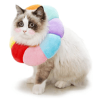 The Pet Food