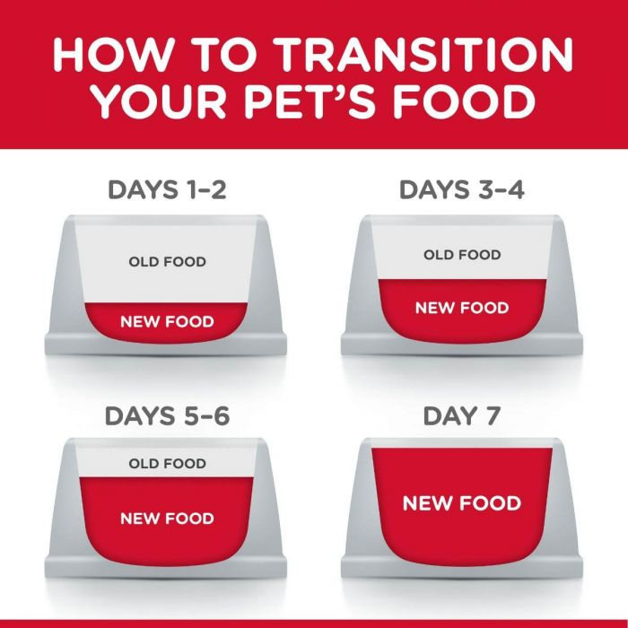 Hill's Science Plan Adult 1+ Sensitive Stomach & Skin Dry Cat Food Chicken - Image 4