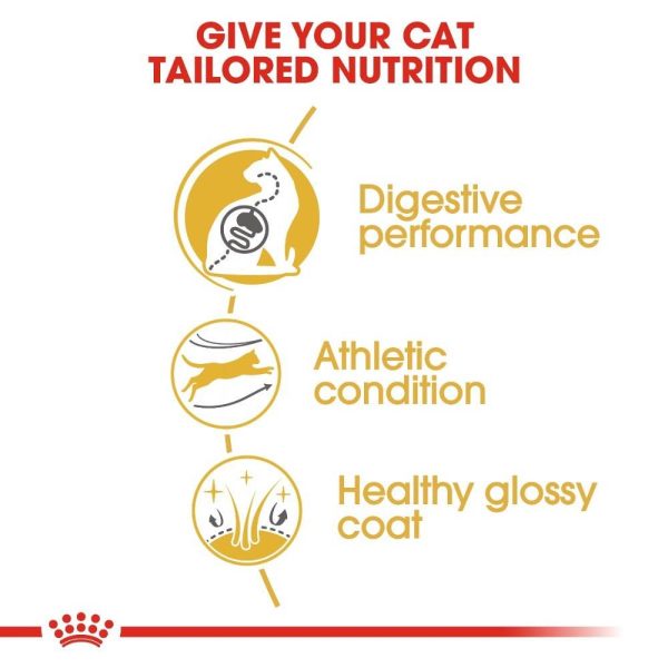 Royal Canin Adult Bengal Dry Cat Food - Image 5