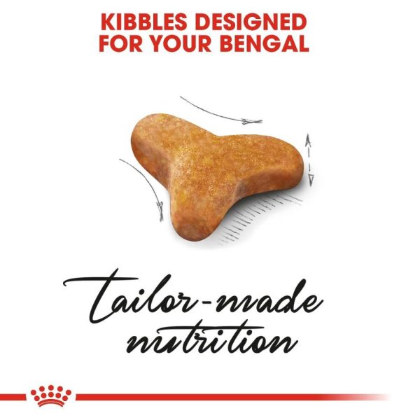 Royal Canin Adult Bengal Dry Cat Food - Image 6