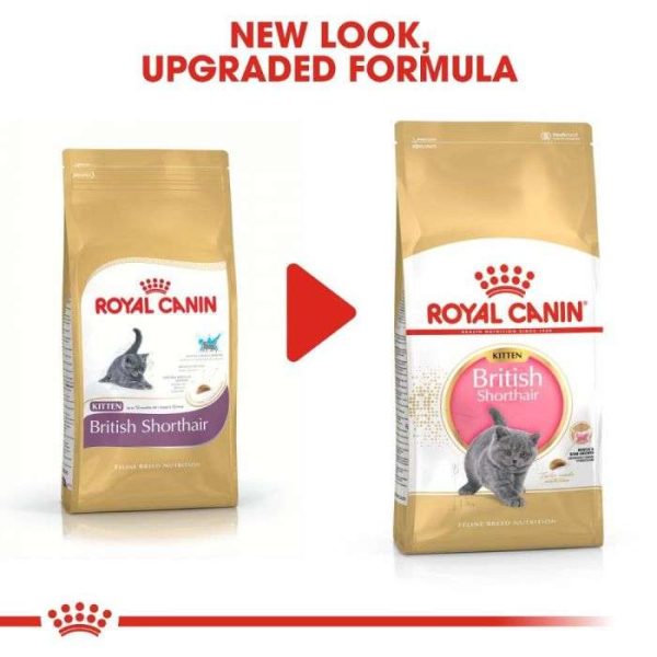 Royal Canin British Shorthair Kitten Dry Food - Image 3