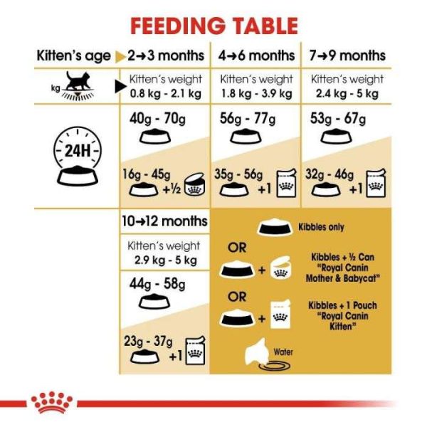 Royal Canin British Shorthair Kitten Dry Food - Image 5