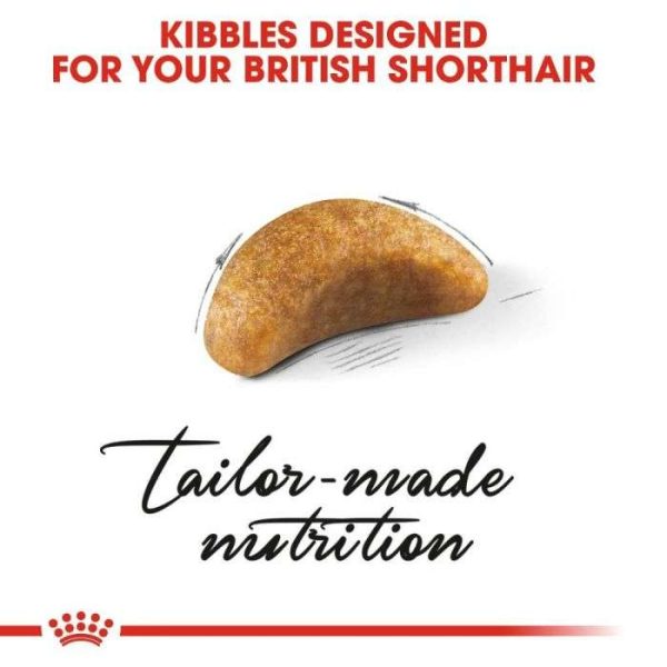 Royal Canin British Shorthair Kitten Dry Food - Image 6