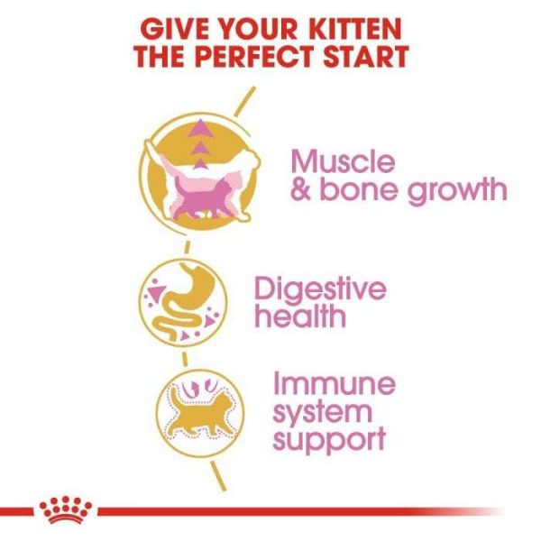 Royal Canin British Shorthair Kitten Dry Food - Image 7