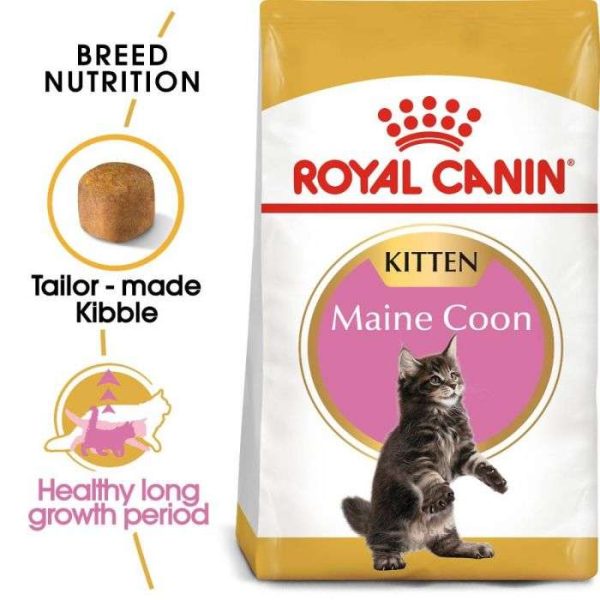 Royal Canin Maine Coon Kitten Dry Cat Food